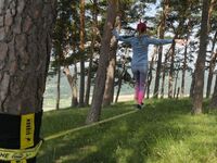 Gibbon CLASSICLINE 15 Meter (TÜV & Baumschutz) - Artikelbild