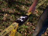 RATPAD - Ratschenschutz für Slacklines - Gibbon - Artikelbild