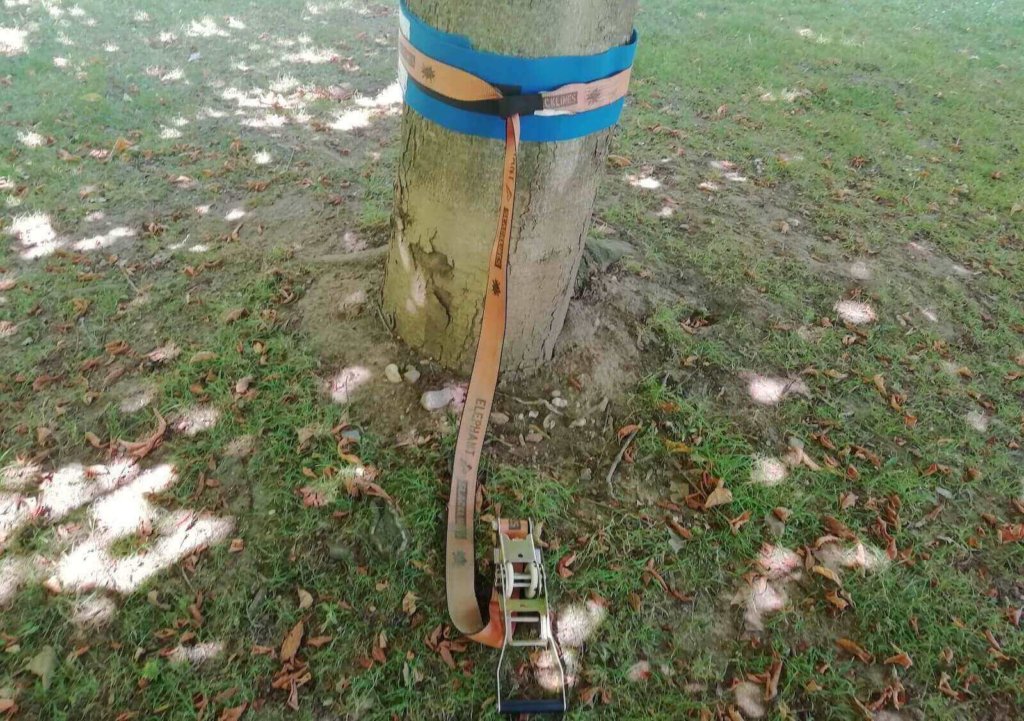 Die Ratsche am Baum befestigen