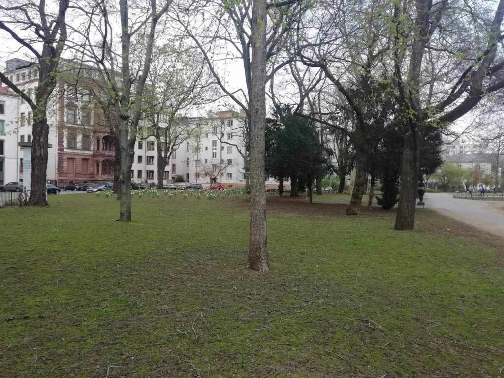 Slackline Spot im Anlagenring in FFM