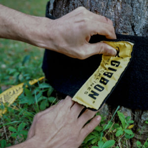 Baumschutz der Gibbon Classic Slackline