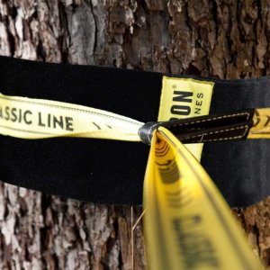 Die Slackline über dem Baumschützer